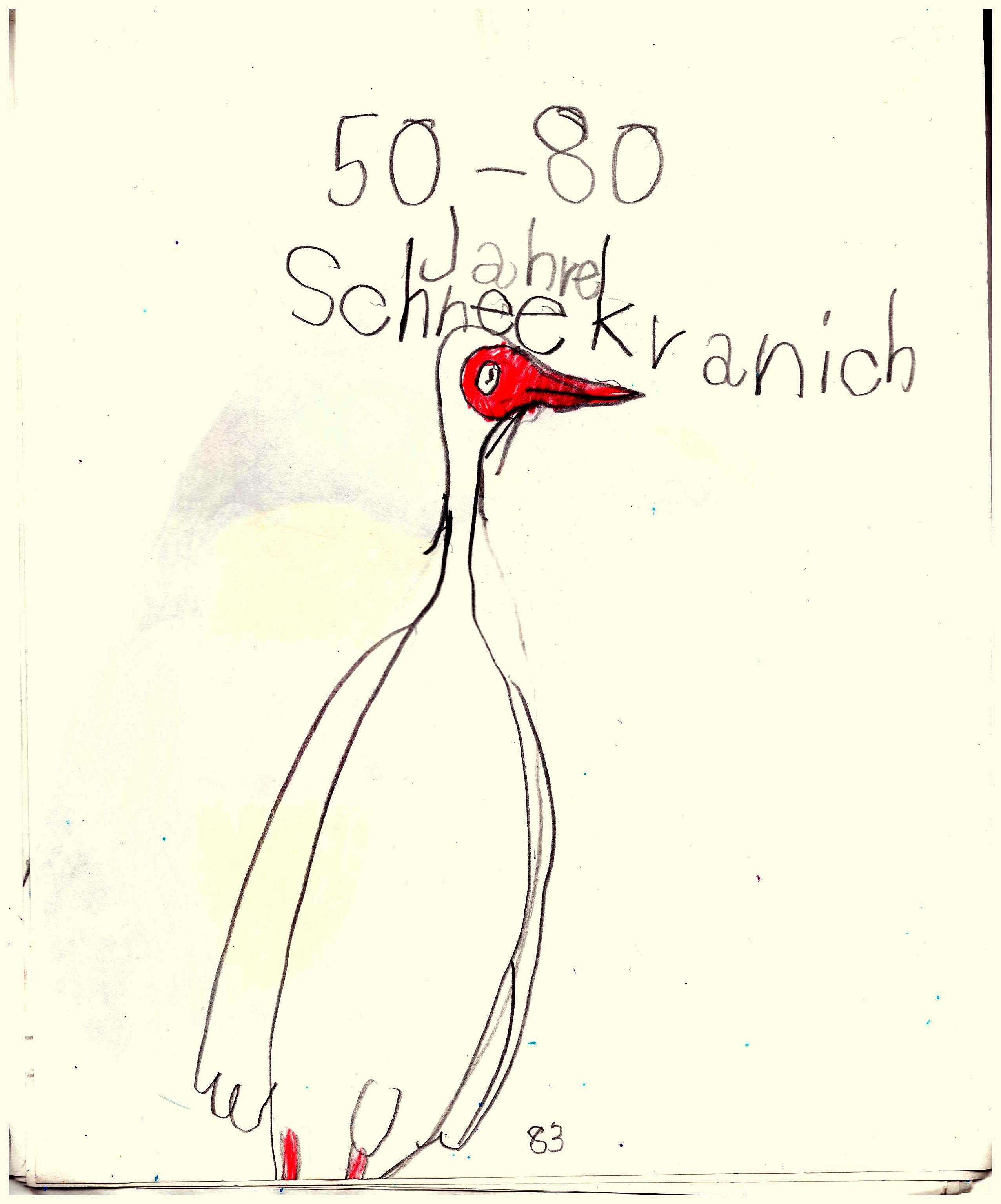 schneekranich-1