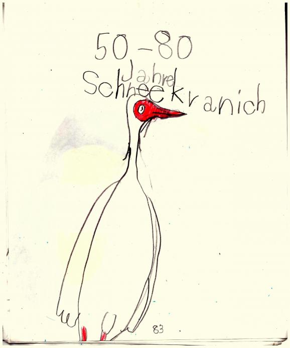 schneekranich-1