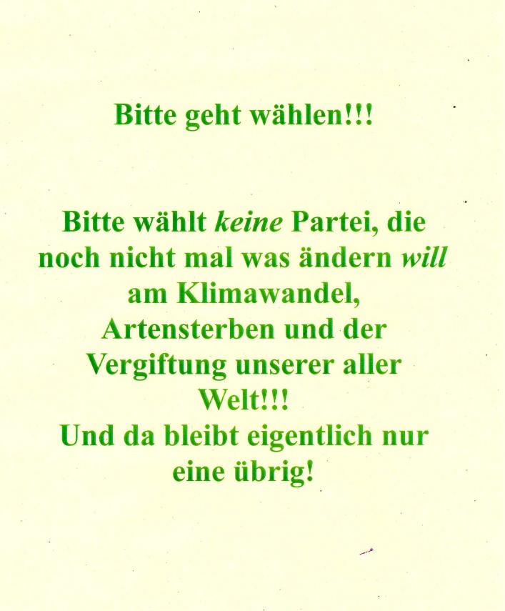 wahlwerbung-1